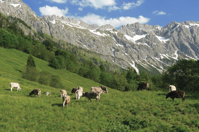 Bad Hindelang
